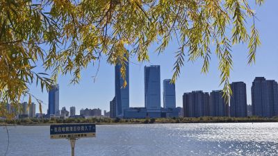 城市