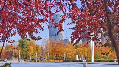 城市