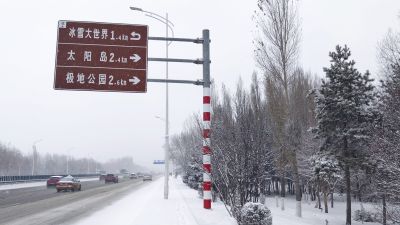 城市
