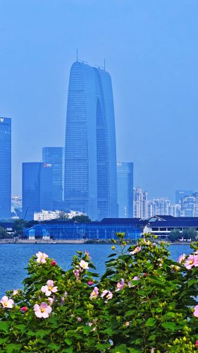 外埠