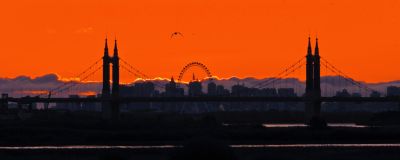 景色