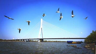 景色
