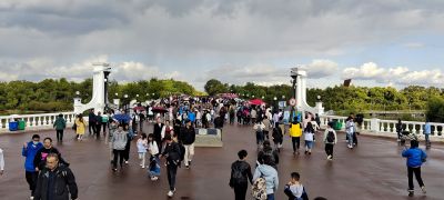 城市
