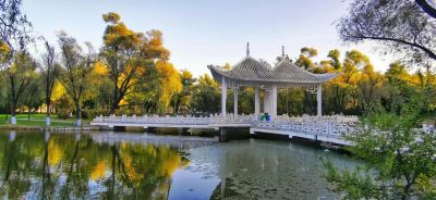 景色