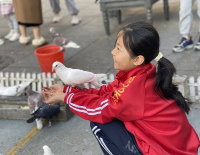 人物