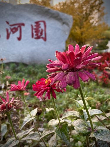 动植物