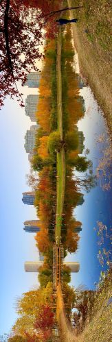 城市