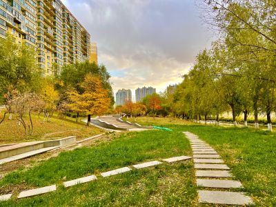 城市