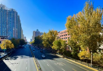 城市