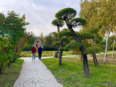 景色