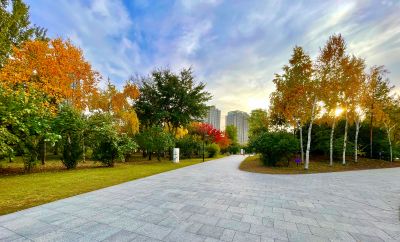 景色