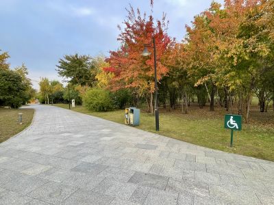 景色