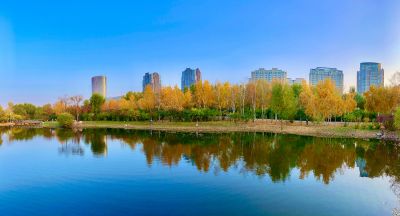 景色
