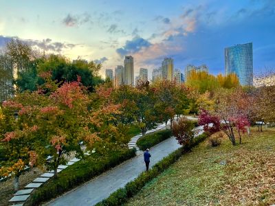 景色