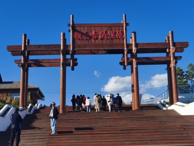 城市