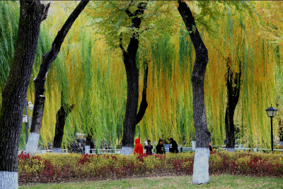 景色