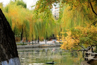景色