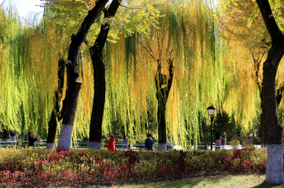 景色
