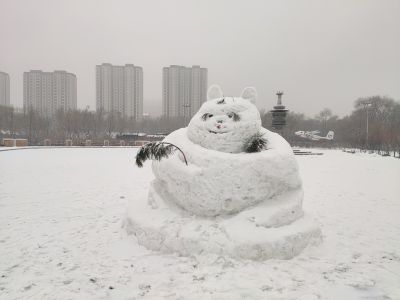 景色