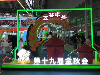 活动