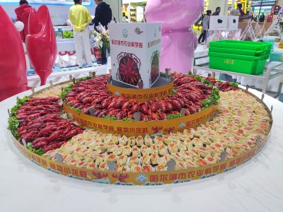 活动