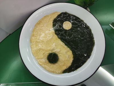 活动