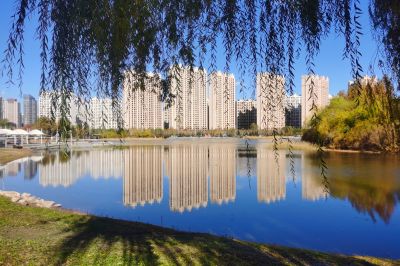 城市