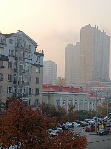 城市