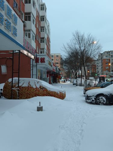 城市