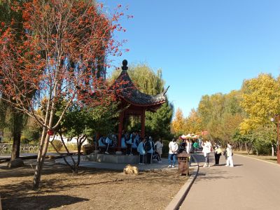 景色
