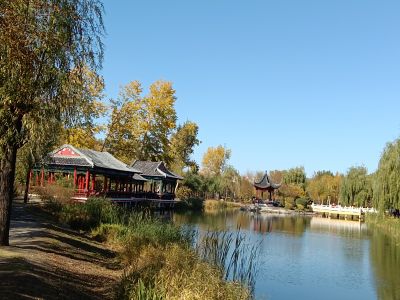 景色