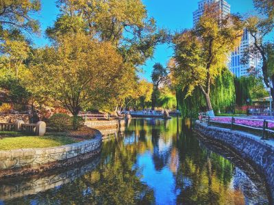 景色