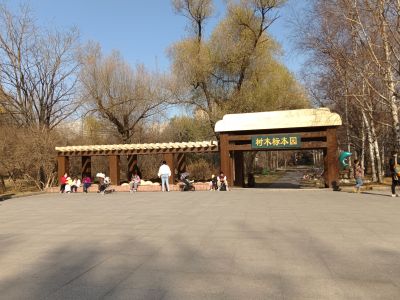 景色