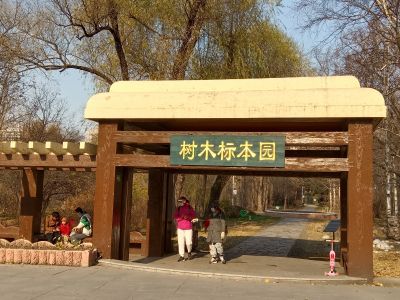 景色