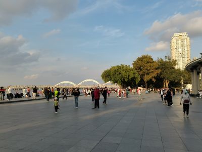 城市