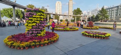 城市
