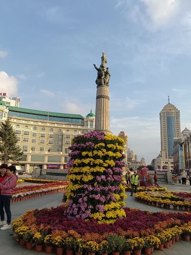 城市