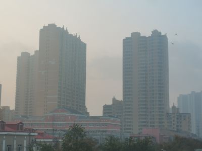 城市