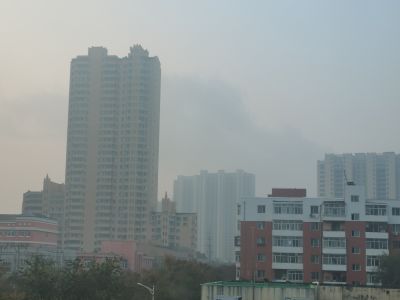 城市