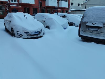 城市