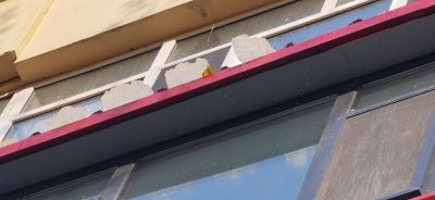 城市