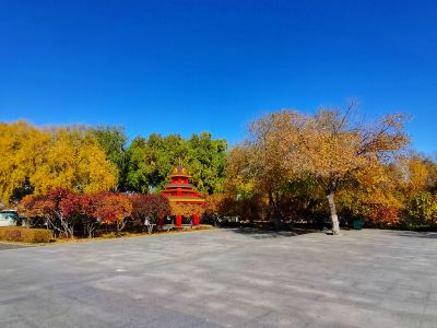 景色