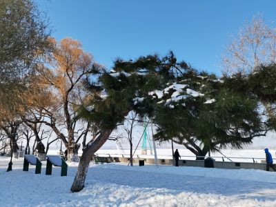 景色