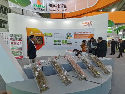 活动