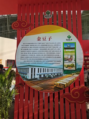 活动