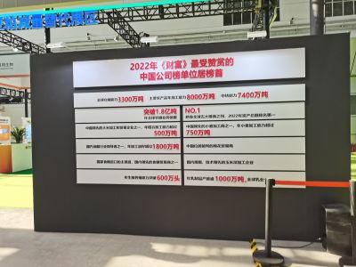 活动