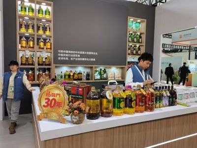 活动