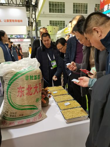 活动