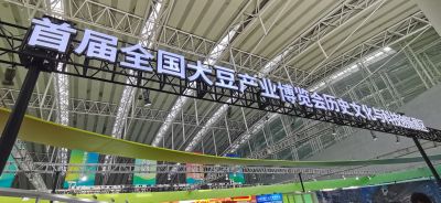 活动