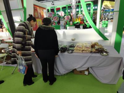 活动